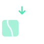 Dental Filling